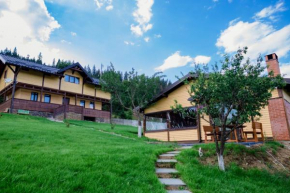 Cabana Todireni Vatra Dornei